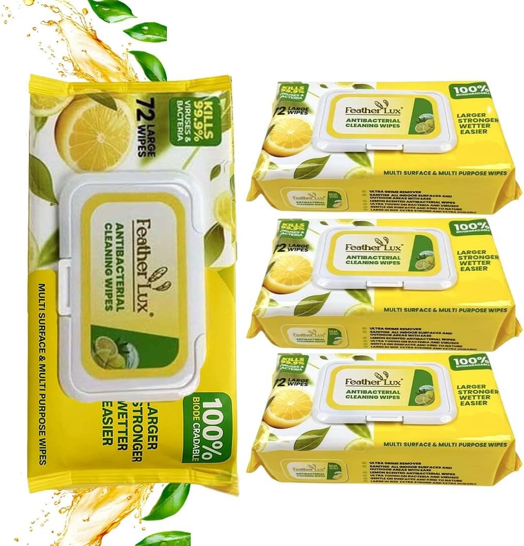 Antibacterial Wipes - 4 Pack