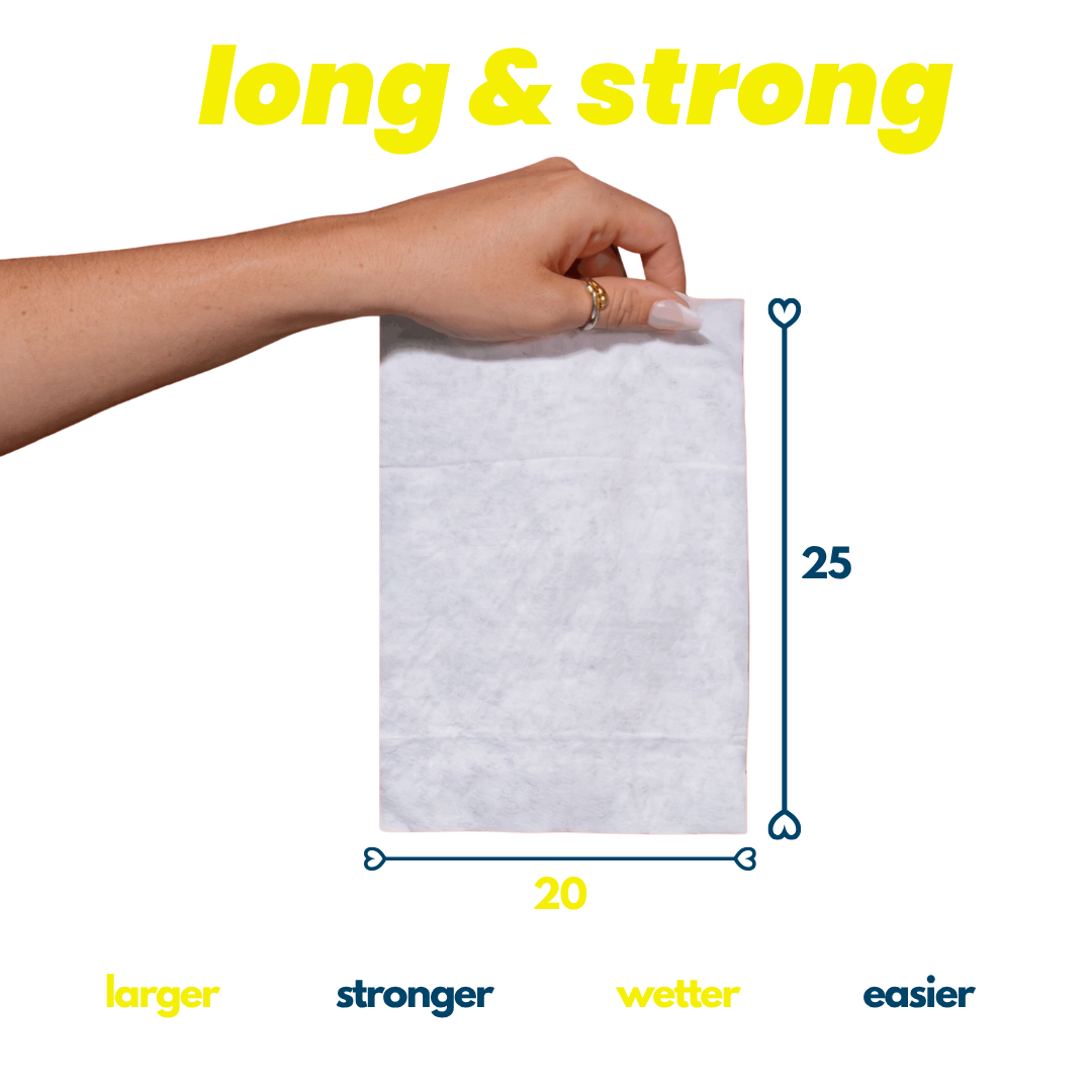 Bathroom Wipes - 12 Pack