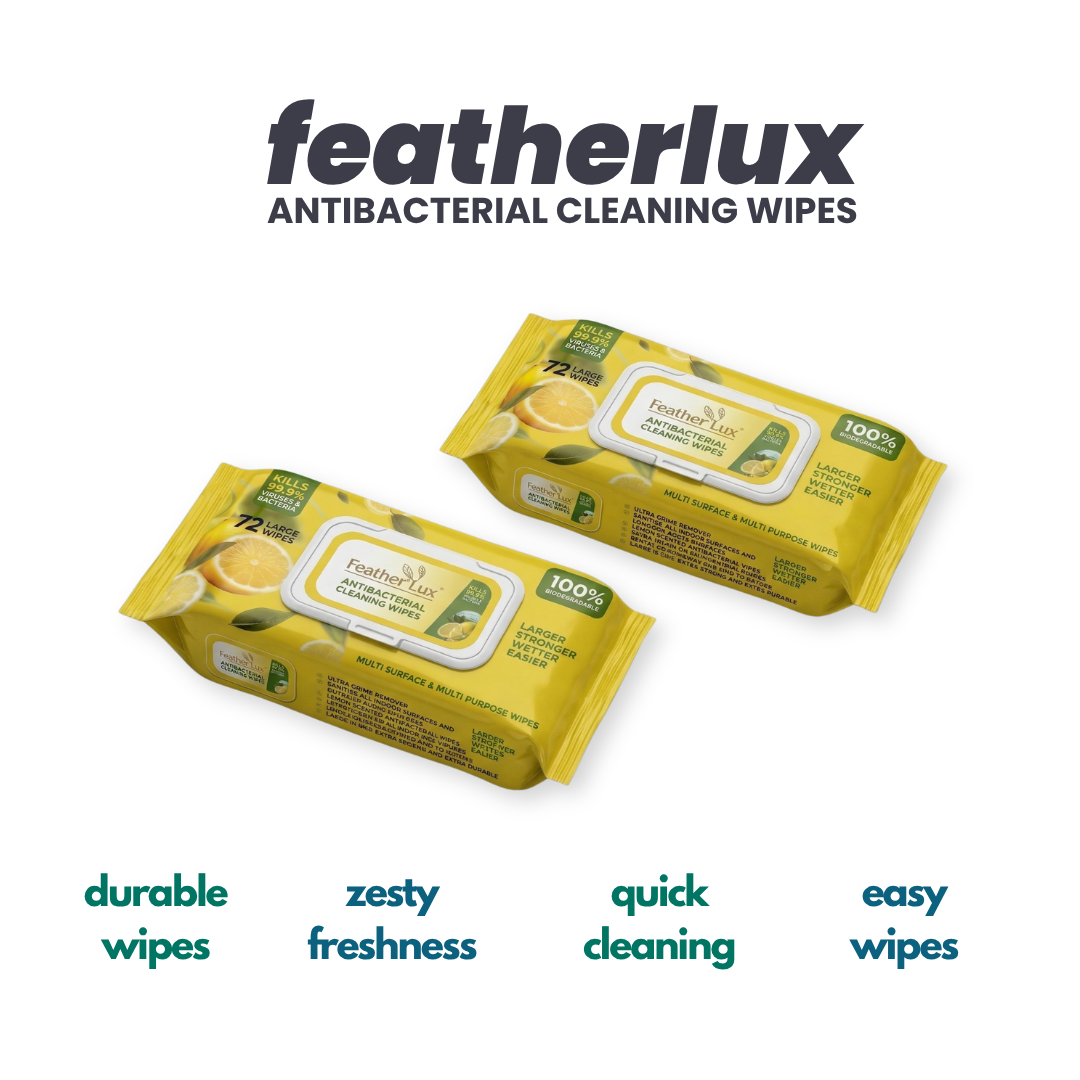Antibacterial Wipes - 12 Pack