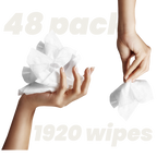 Flushable Toilet Wipes - 48 Pack