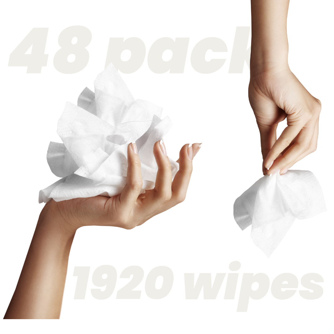 Flushable Toilet Wipes - 48 Pack