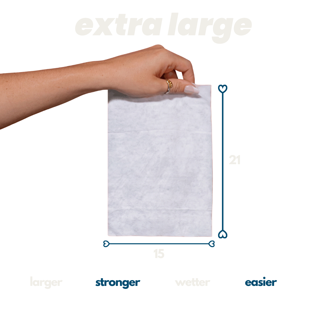 Flushable Toilet Wipes - 48 Pack