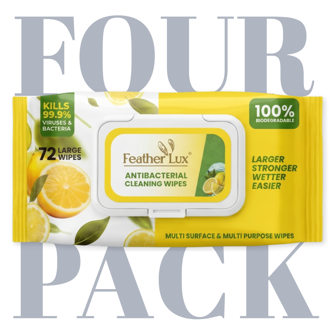 Antibacterial Wipes - 4 Pack
