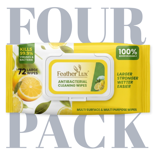 Antibacterial Wipes - 4 Pack