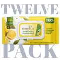 Antibacterial Wipes - 12 Pack