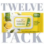 Antibacterial Wipes - 12 Pack