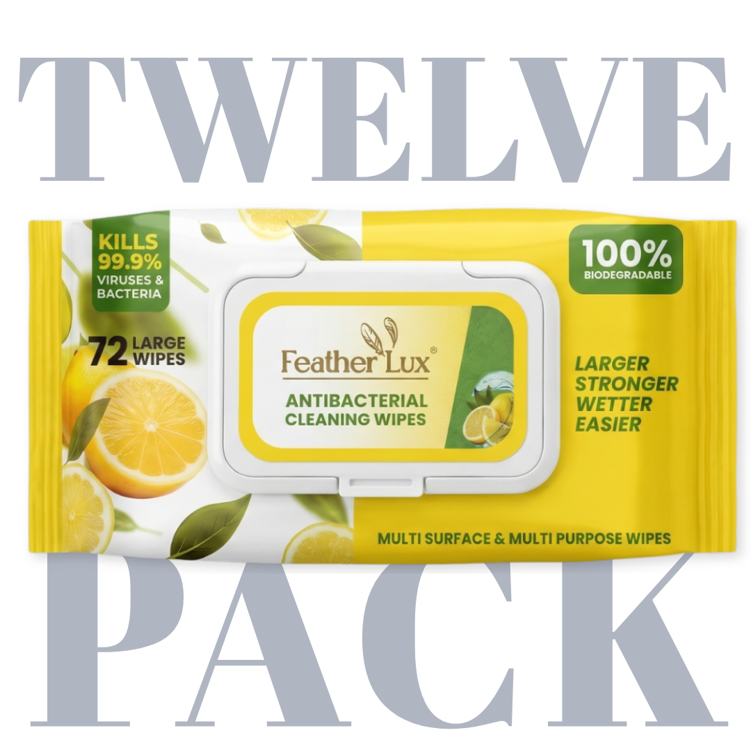 Antibacterial Wipes - 12 Pack