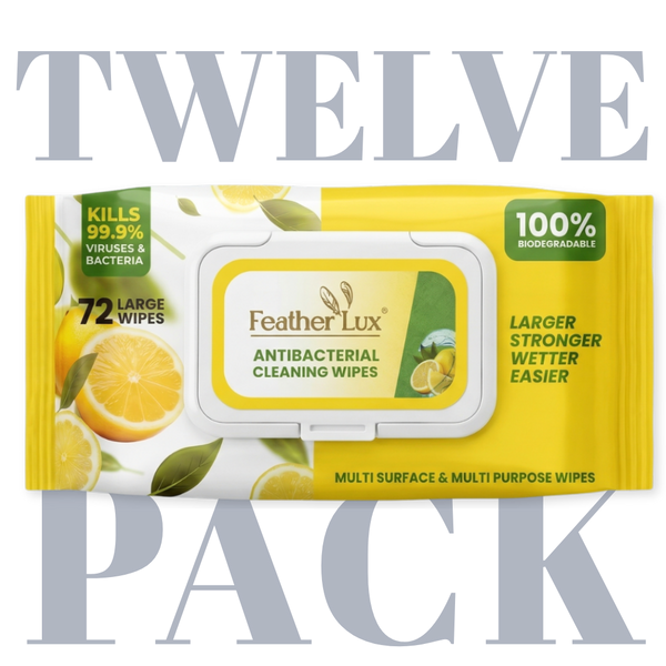 Antibacterial Wipes - 12 Pack