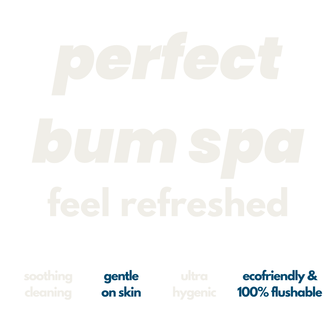 Flushable Toilet Wipes - 12 Pack