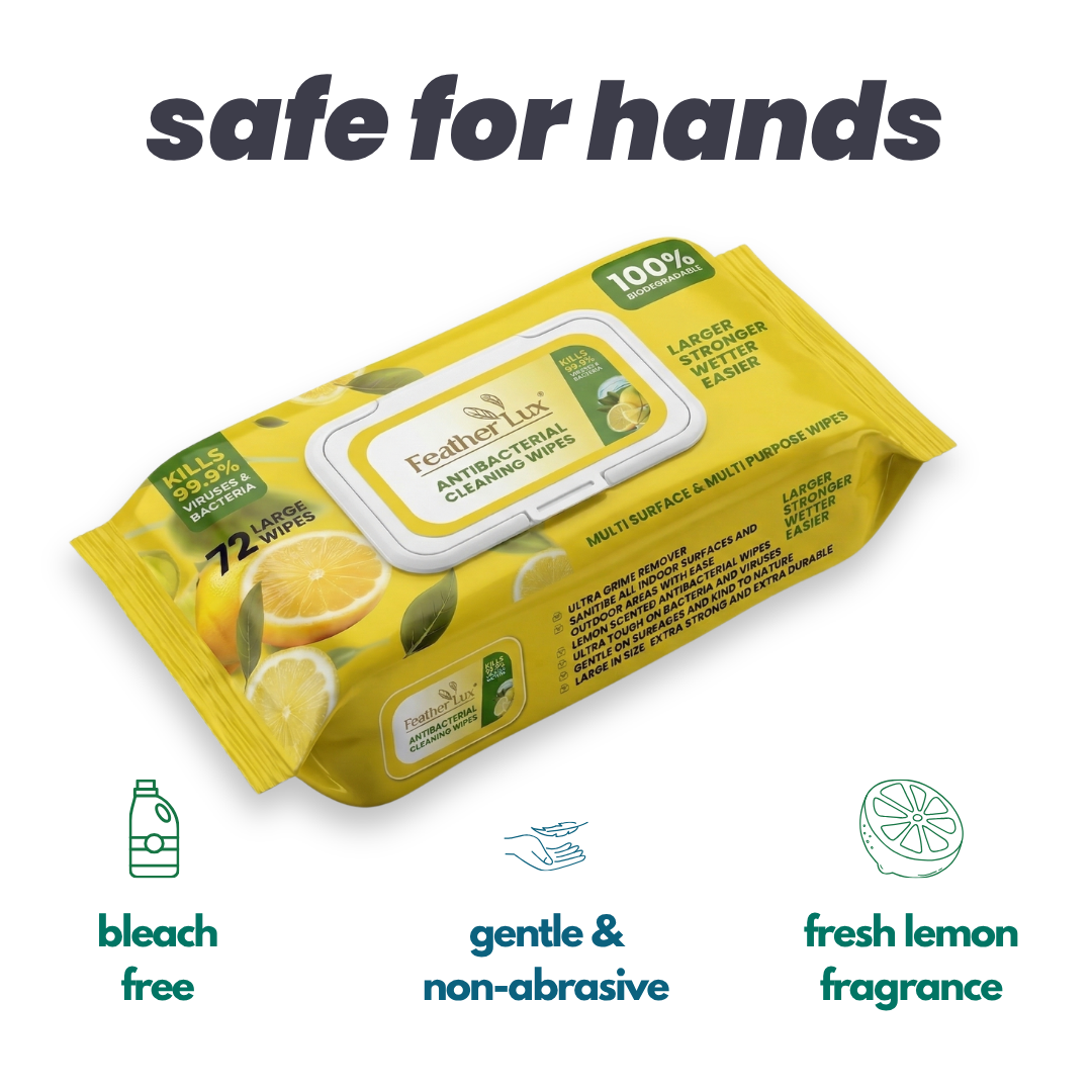 Antibacterial Wipes - 4 Pack
