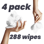 Antibacterial Wipes - 4 Pack