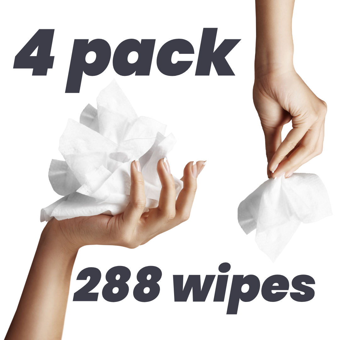 Antibacterial Wipes - 4 Pack