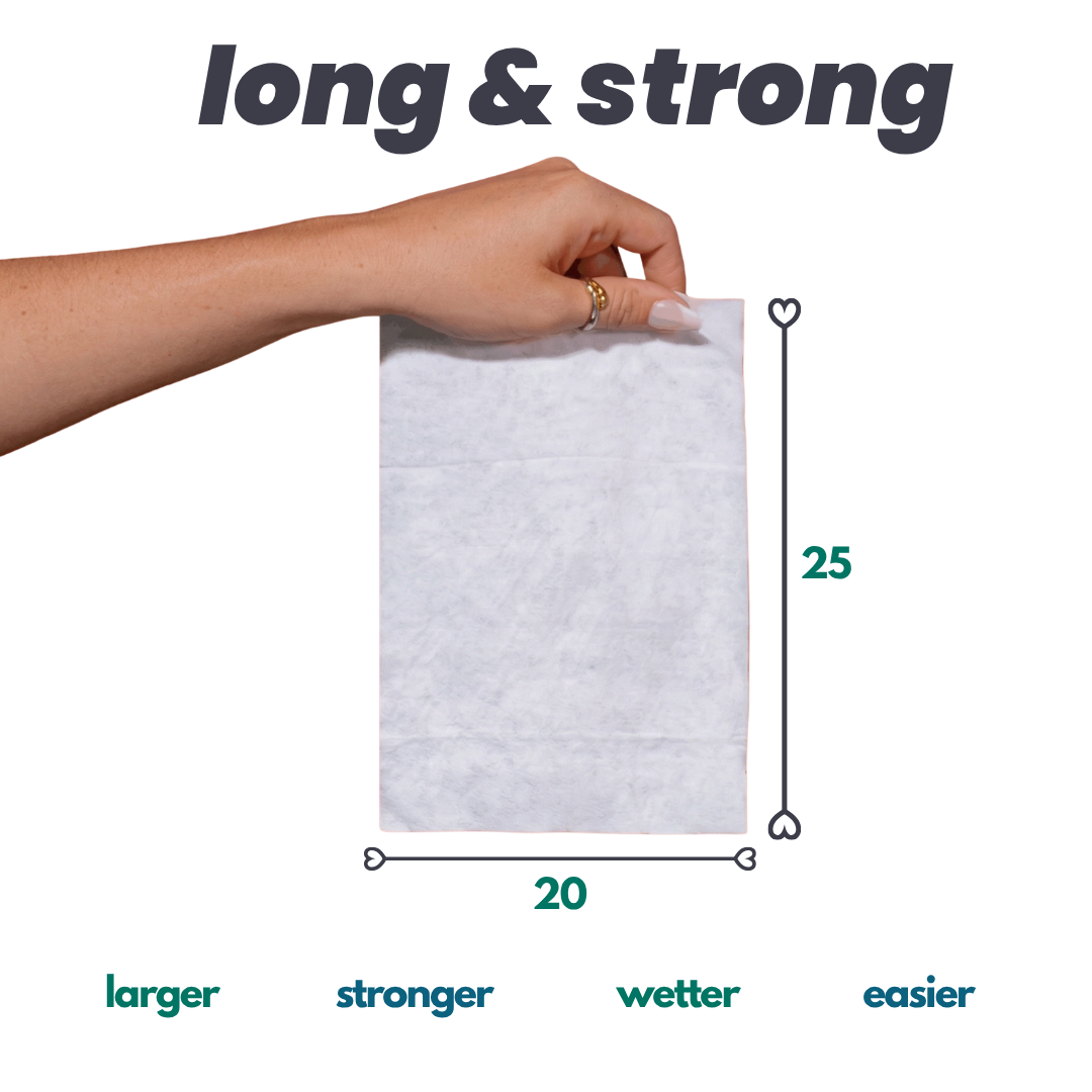 Antibacterial Wipes - 4 Pack