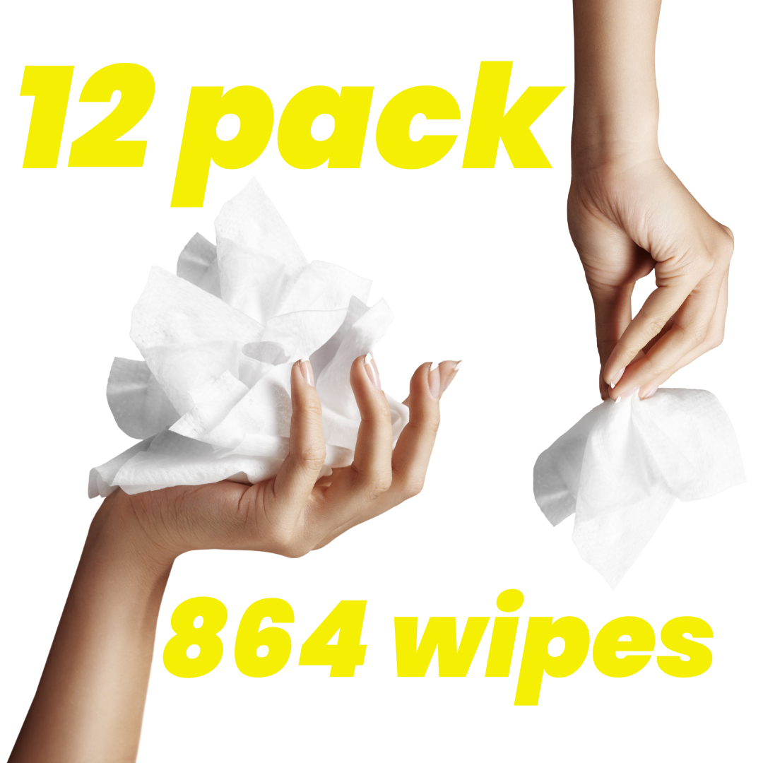 Bathroom Wipes - 12 Pack
