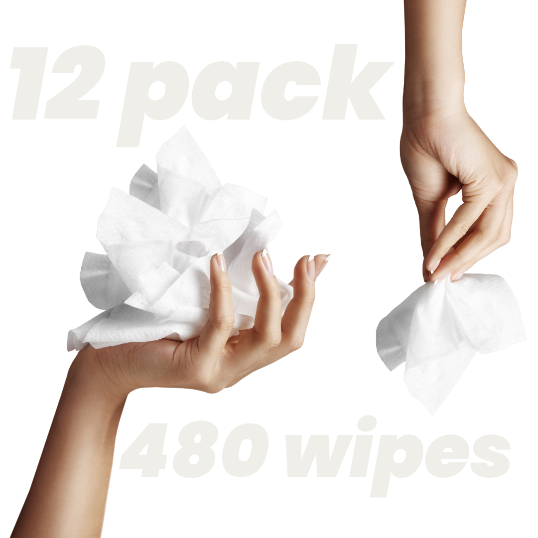 Flushable Toilet Wipes - 12 Pack
